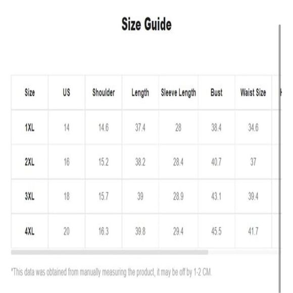 NEW Sheer Mesh Long Sleeve A Line Flared Elegant Mini Dress 3X - Picture 4 of 6